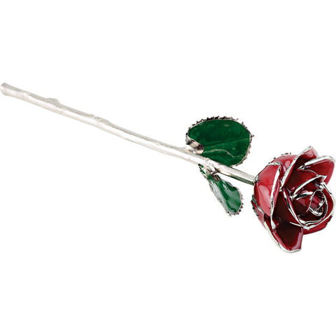 Laquered Red Rose w/ Platinum Trim